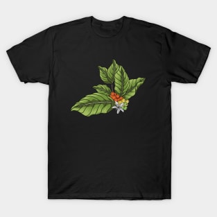 Coffee Bean Tree T-Shirt